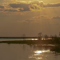 фото "...ах этот вечер..."