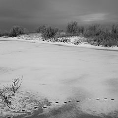 фото "Frozen pond"