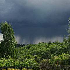 фото "Перед дождем"