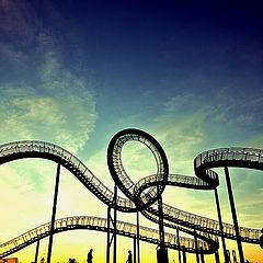 фото "Tiger and Turtle"