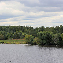 photo "Volga River (Kostroma region)"