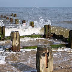 photo "The cold North Sea."