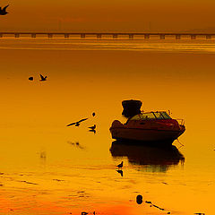 фото "Tagus sunset"