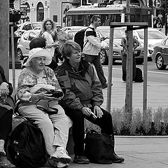 photo "Ladies-PhotoHunters"