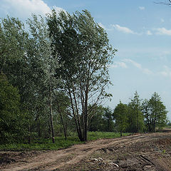 фото "В полдень"