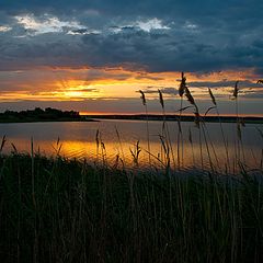 фото "Утро"