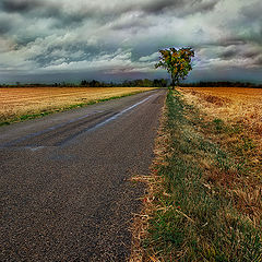 photo "***"