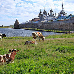 фото "Тихая жизнь острова"