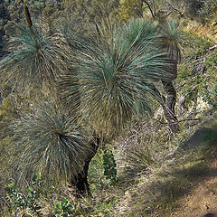 photo "Path in the mountains"