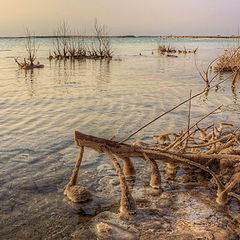 фото "Sunrise on Dead Sea"