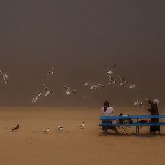 фото "On the beach"