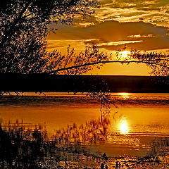 photo "***"