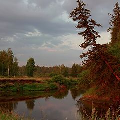 фото "На вечерней зорьке"