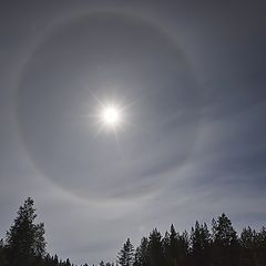 photo "Solar halo in Karelia"