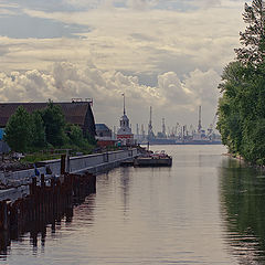 фото "Шкиперка"
