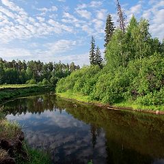 фото "Ранним июльским утром"