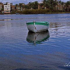 photo "A LONE"