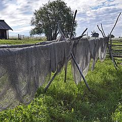 photo "fishing nets"