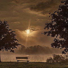 photo "Park Bench"