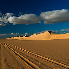 фото "Dunes 03"