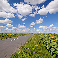 photo "***"