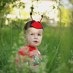 photo "human ladybird"