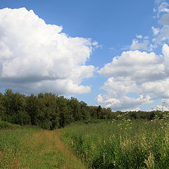 фото "Июль"