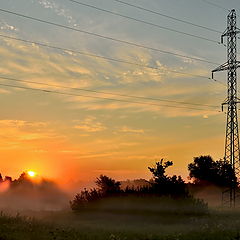 photo "***"