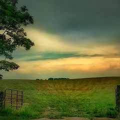 photo "***"