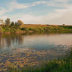 фото "Приокское озеро"