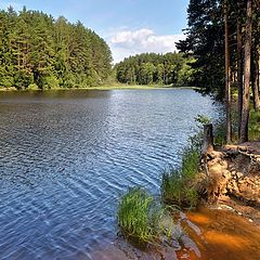 фото "На Черной речке."