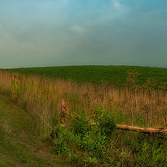 photo "***"