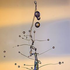 photo "liquid tree"
