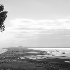 photo "Séte, south of France, landscape in bw"