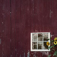 photo "***"