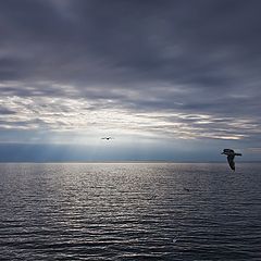 фото "перед дождём"