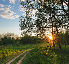 фото "Evening light"