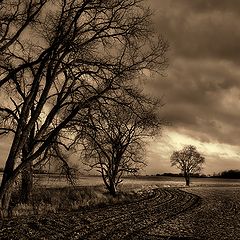 photo "***"