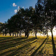 photo "Morning shadows"