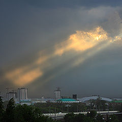 фото "Гневный взгляд"