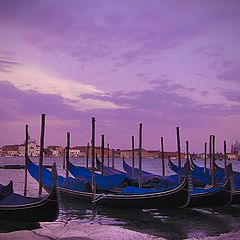 photo "Sunset in Venice"