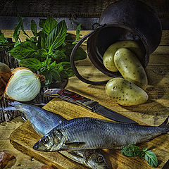 photo "With the herring"