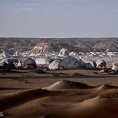 photo "White Desert"