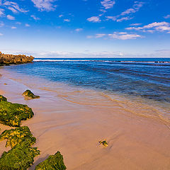 photo "Colours of the Ocean"