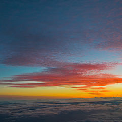 photo "High in the sky"