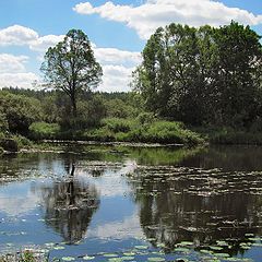 фото "Нерка"