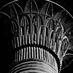 фото "LOTUS CROWN"
