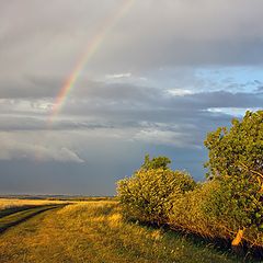 фото "Радуга"