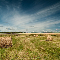 фото "Красивое рядом"