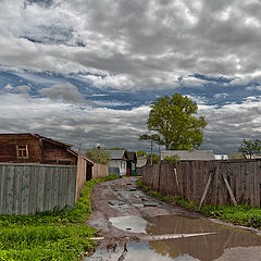 photo "After the Rain"